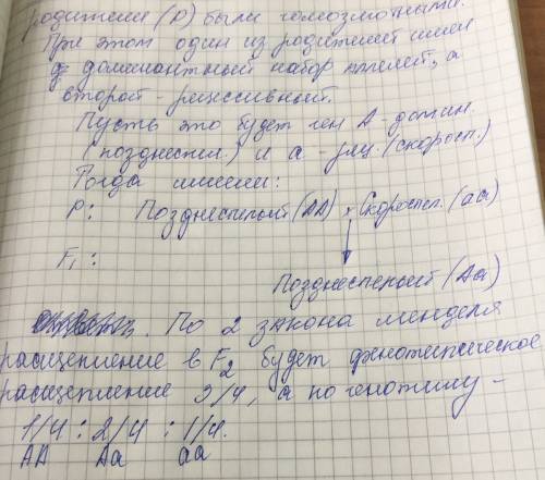 От скрещивания позднеспелого сорта клевера со скороспелым все потомство оказалось позднеспелым. опре