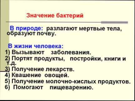 Сделать схему значения бактерий в природе и жизне человека