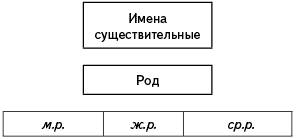 Что нового вы узнали о склонении и роде существительных