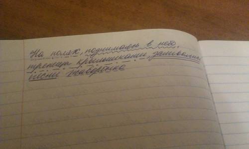 Сделайте синтаксический разбор этого предложения с дееприч. оборотом. на полях, поднимаясь в небо, т