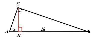 Знайдіть висоту прямокутного трикутника, проведену з вершини прямого кута, якщо вона ділить гіпотену