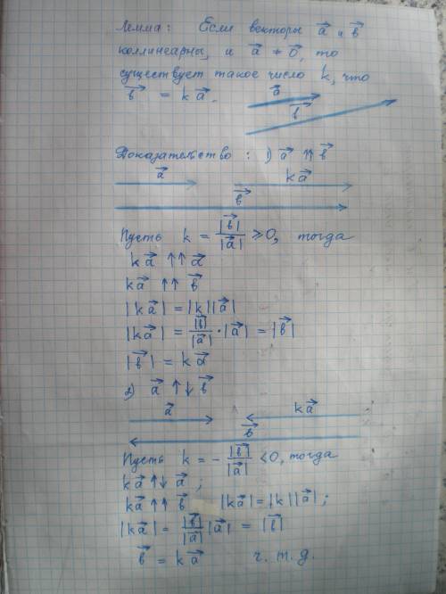 Сформулируйте и докажите лемму о коллинеарных векторах
