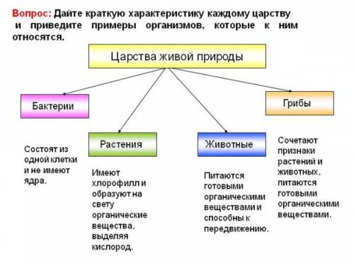 Подпешите названия царств живой природы.