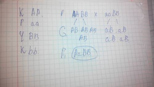 Укрупного рогатого скота отсутствие рогов доминирует над их наличием а черная окраска доминирует над