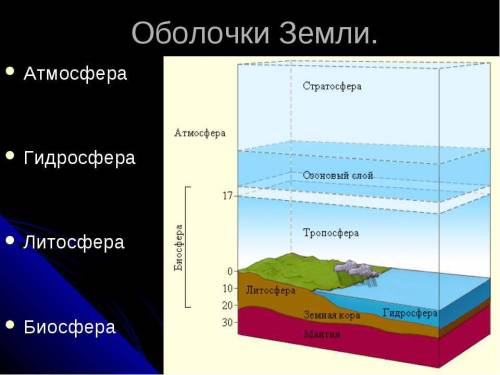 Фото и названия всех цветов из атласа определителя от земли до неба