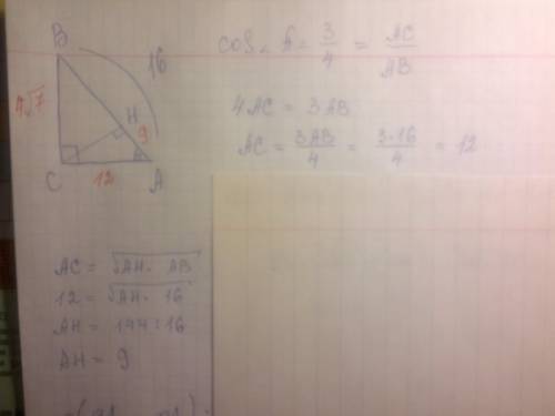 1) в треугольнике авс угол с равен 90 градусов, сн - высота, ав = 16, cos a = 3/4. найдите ан. 2) в