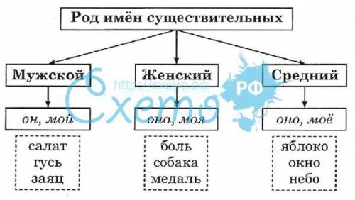 Определите падеж и род слов : жаркий , высокие , иглистые , колючие , кудрявая, серая , коренастый ,