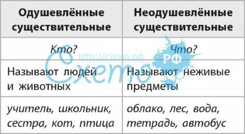 Имя существительное: одешевлёное,имя нарицательное