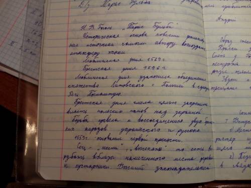 Нужно написать, какие вопросы возникают у читателя после прочтения тарас бульба гоголь.