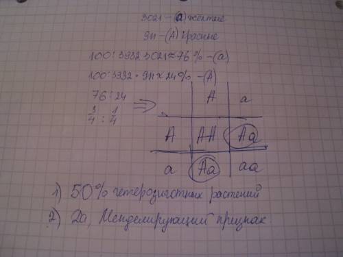 Утоматов ген определяющий красную окраску плодов доминантен по отношению генов жёлтой окраскию. полу