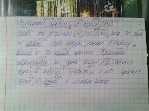 1наученный опытом,1.1я понял,1.2 что тропа это звериная ,1.3и,1.4опасаясь,1.5как бы она не завела ку