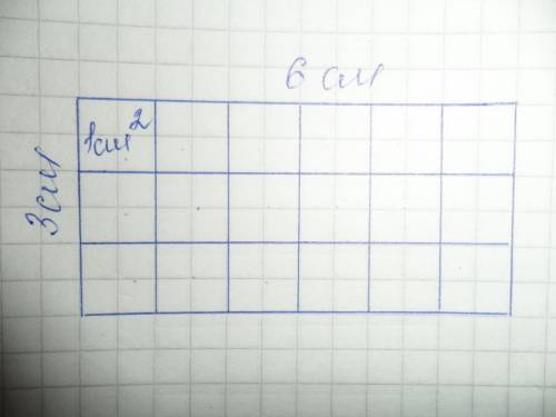 Нарисуй прямоугольник со сторонами 3 сантиметра и 6 сантиметров раздели на квадратные сантиметры най