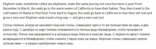 Elephant seals, sometimes called sea elephants, make the same journey not once but twice a year. fro