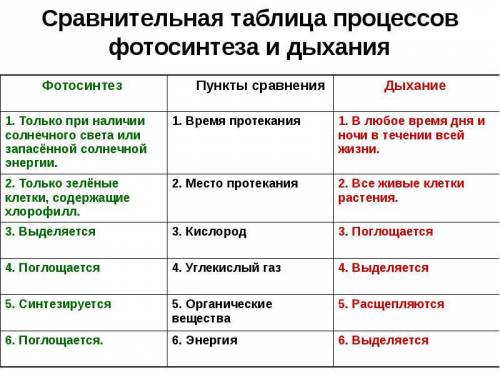 Изучив текстпарафа заполните таблицу