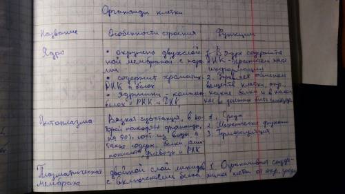 Таблица структура эокариатической клетки