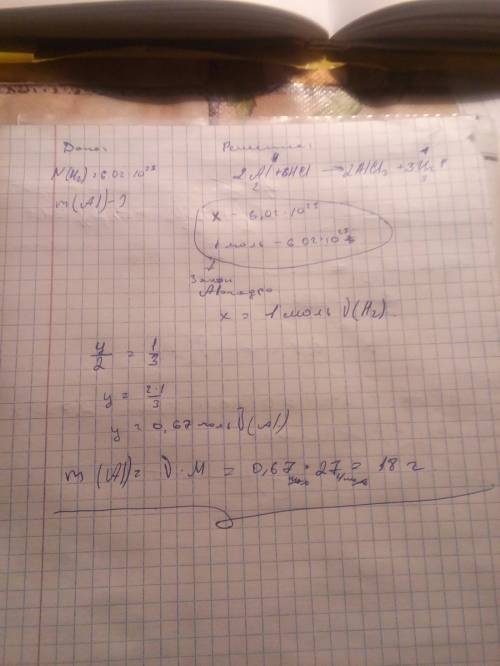 Масса алюминия вступившего в реакцию с соляной кислотой если получено 6,02-10^23 атомов водорода