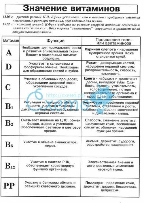 Таблица по биологии витаминов 8 класс