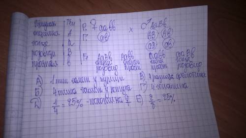 Укур оперенные ноги доминируют над голыми, розовидная форма гребня–над простым. курицу с голыми нога