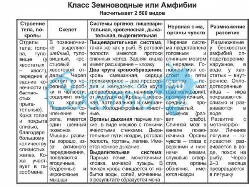 Пришлите таблицу по биологии 7 класс земноводные.