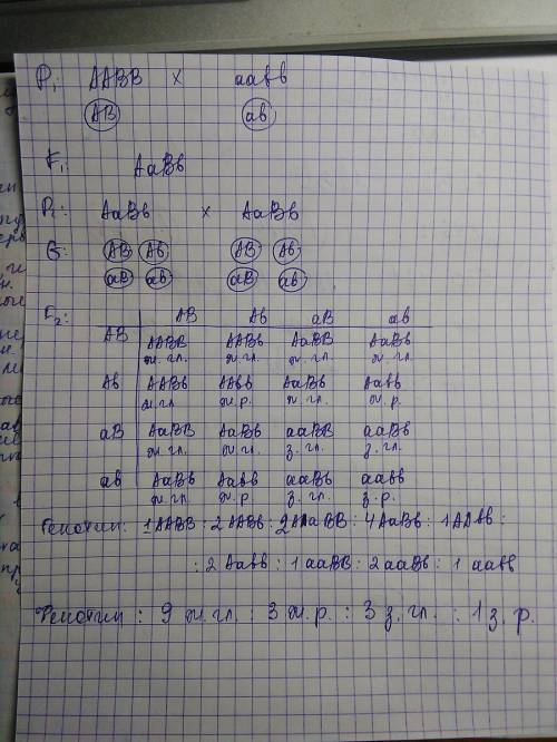 Желтые семена фасоли (а) с гладкой поверхностью (в) скрестили с зелеными (а) с ребристой (в).какие г