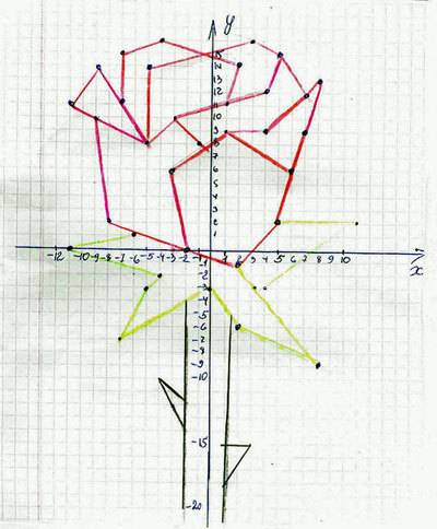 Рисунок на координатной прямой цветы