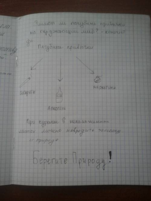 Как влияют на окружающий мир пагубные привычки человека?