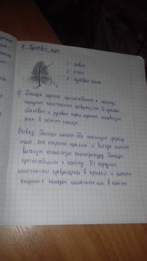 Лабораторная работа №8 по биологии 7 класс константинов тема: внешнее строение птицы.строение перьев