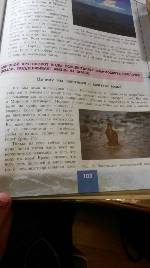 Как мы можем участвовать в охране природы? маленький текст