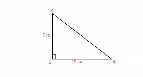 Катеты прямоугольного треугольника равны 12 и 5 см. найдите гипотенузу и площадь треугольника.