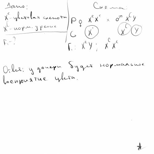 Учеловека цветовая слепота обусловлена цветным геном (с), а нормальное зрение его доминантное аллели