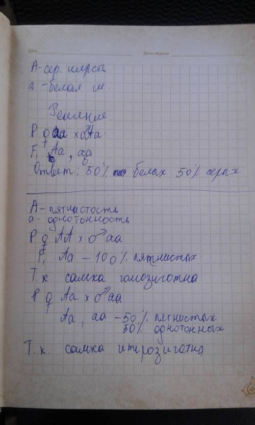 Ген серой шерсти у мышей полностью доминирует над мутантным геном белой окраски шерсти. какое можно