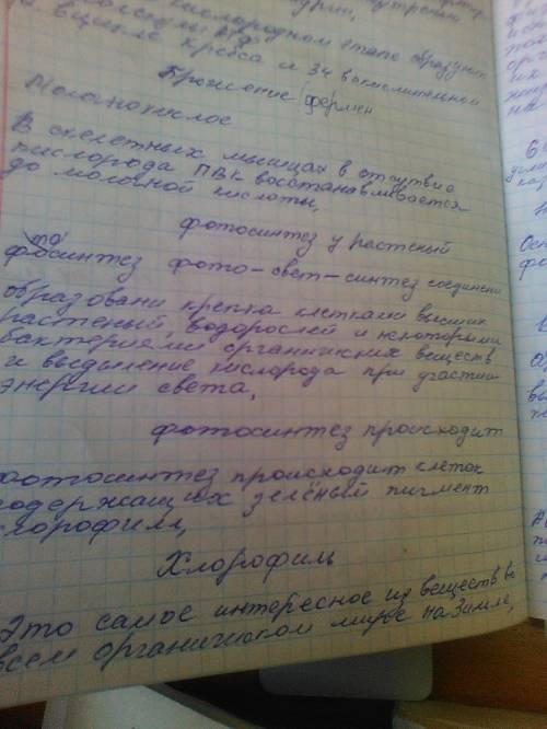 Написать сообщение на тему фитоценоз(совокупность растений биоценоза) дубравы.