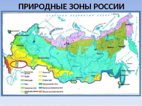 Какая природная зона находится прикаспийской низменности