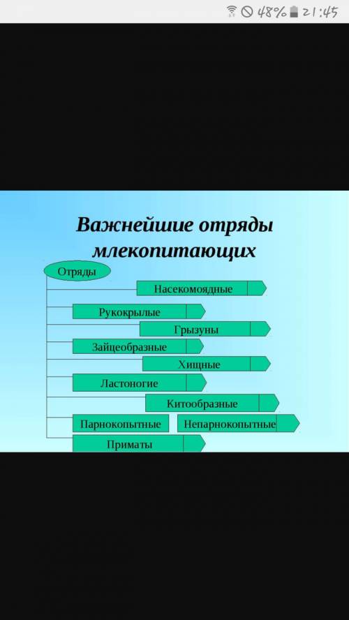 19 отрядов млекопитающих перечислите