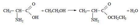 2аминопропановая кислота+этиловый спирт=?