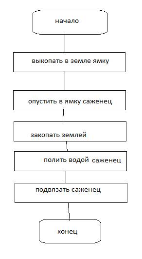 Составить блок-схему линейного алгоритма 1.исполнитель: человек 2.исполнитель: группа людей 3.исполн