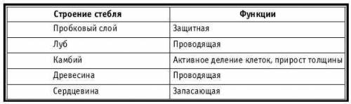 Какую функцию не выполняет деревянистый стебель? 1)выносит листья на свет. 2)накапливает питательные