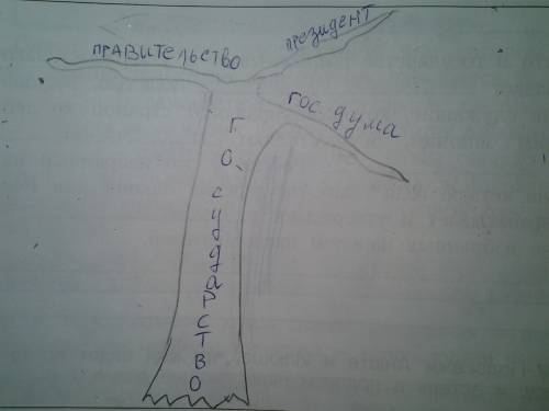 Нарисуй схему дерева власти с ветвями,изображающими разделение власти в россии