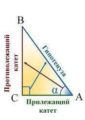 Что такое косинус? как объяснить ребенку 6 класса?