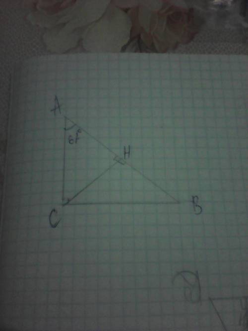 Впрямоуголином треугольнике авс с прямым углом с, сн-высота, угол а=62. найти угол в, угол асн и уго