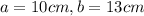 a = 10 cm, b = 13 cm