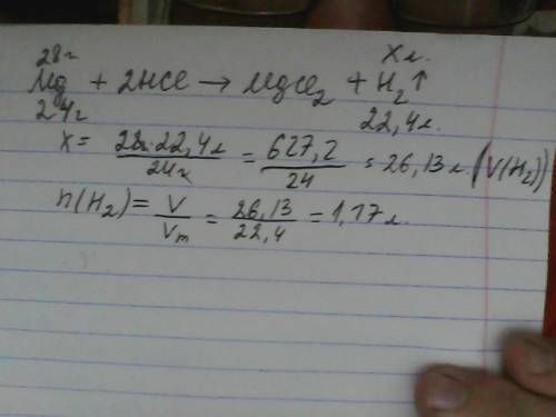 Вычислить количество водорода полученного при взаимодействии 48 г магния с соляной кислотой
