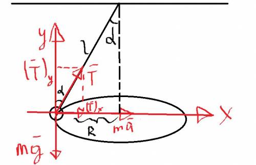 Направление равнодействующей силы тяжести и силы натяжения нити действующих на конический маятник в