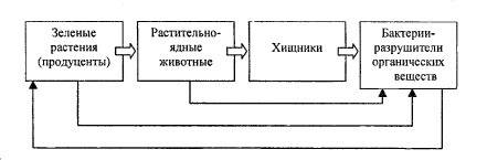 С8 билетом по биологии 1. природное сообщество, основные звенья цепи питания. 2. строение органов вы