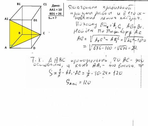 Вправильной четырехугольной призме abcda1b1c1d1 реброaa1 равно 10, а диагональ bd1 равна 26. найдите