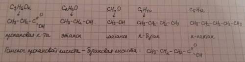 Из веществ, формулы которых: c3h6o2, с2h4, c2h6o, с3h6, ch4o, c4h10, c5h12 выберите те, которые отно