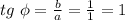 tg\ \phi = \frac{b}{a} = \frac{1}{1}=1