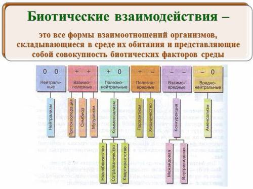 Составте схему возможные варианты межвидовых отношей