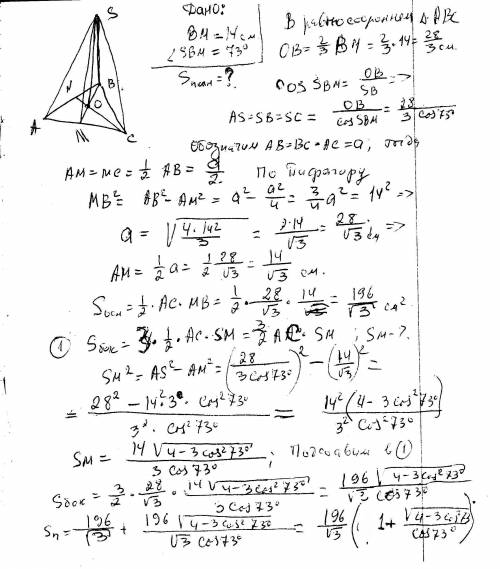 Вправильной треугольной пирамиде высота основания 14 см, боковые ребра образует с основанием, угол 7