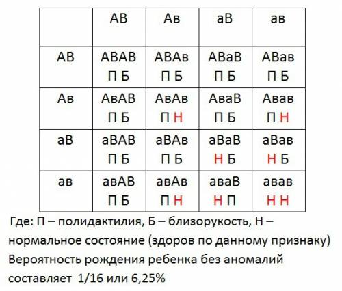 Полидактилия ( шестипалость) и близорукость как доминантные и аутосомные признаки. какова вероятност